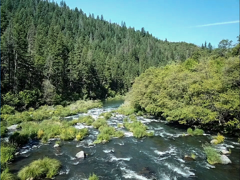 Protecting and restoring habitats to benefit freshwater biodiversity