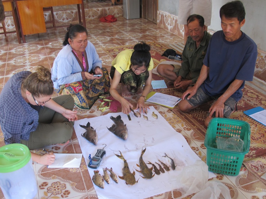 Standard Sampling Training with fishers