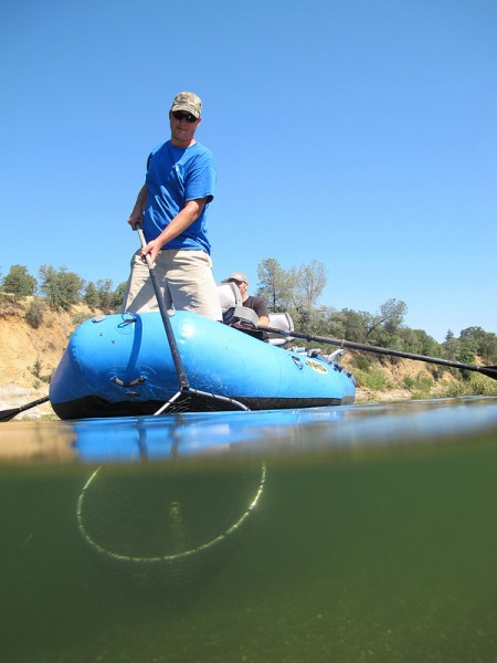 Netting garbage on the Feather River