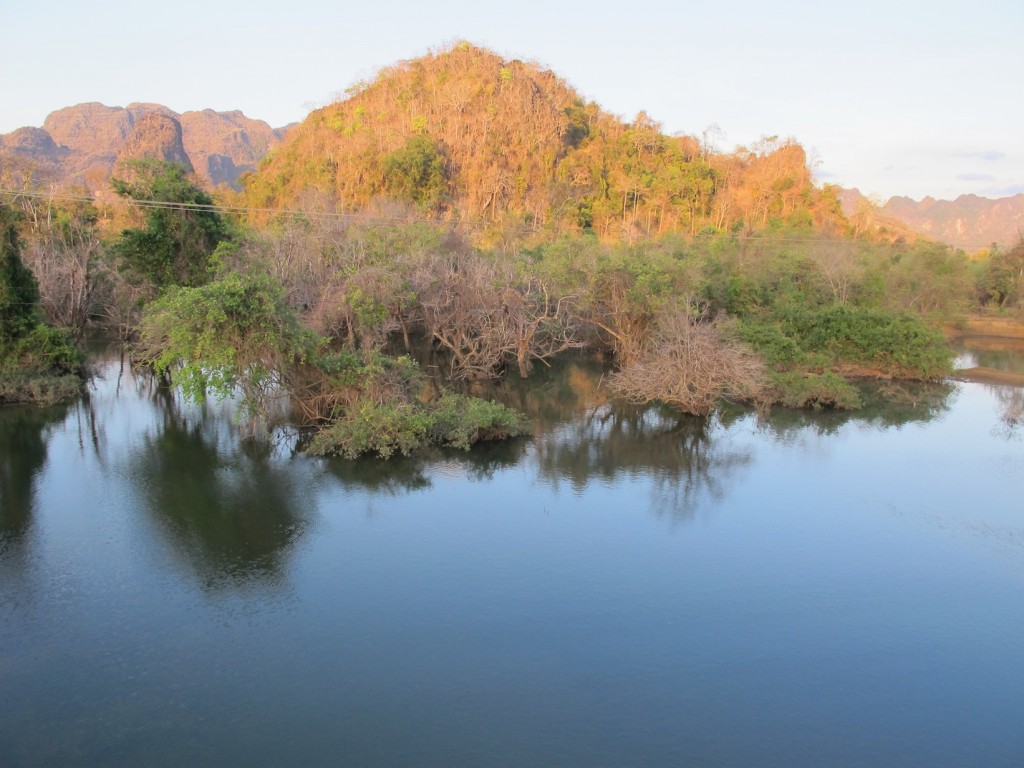 Flooded forest