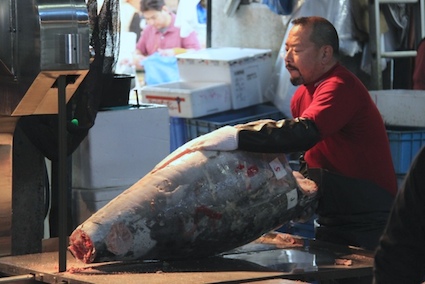 tuna_sm tuna_sm