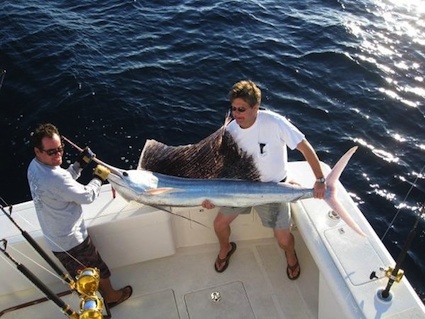 albino-sailfish_sm albino-sailfish_sm