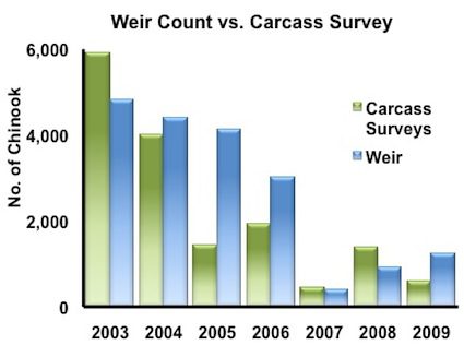 weir-vs-carcass