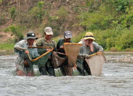 capturing fish in laos mekong