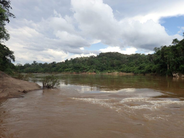 Uncovering the Fish Species of Laos