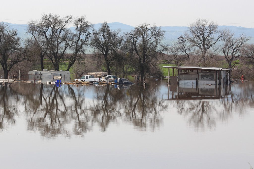 Hell or High Water What Floods Mean for Wildlife FISHBIO Fisheries