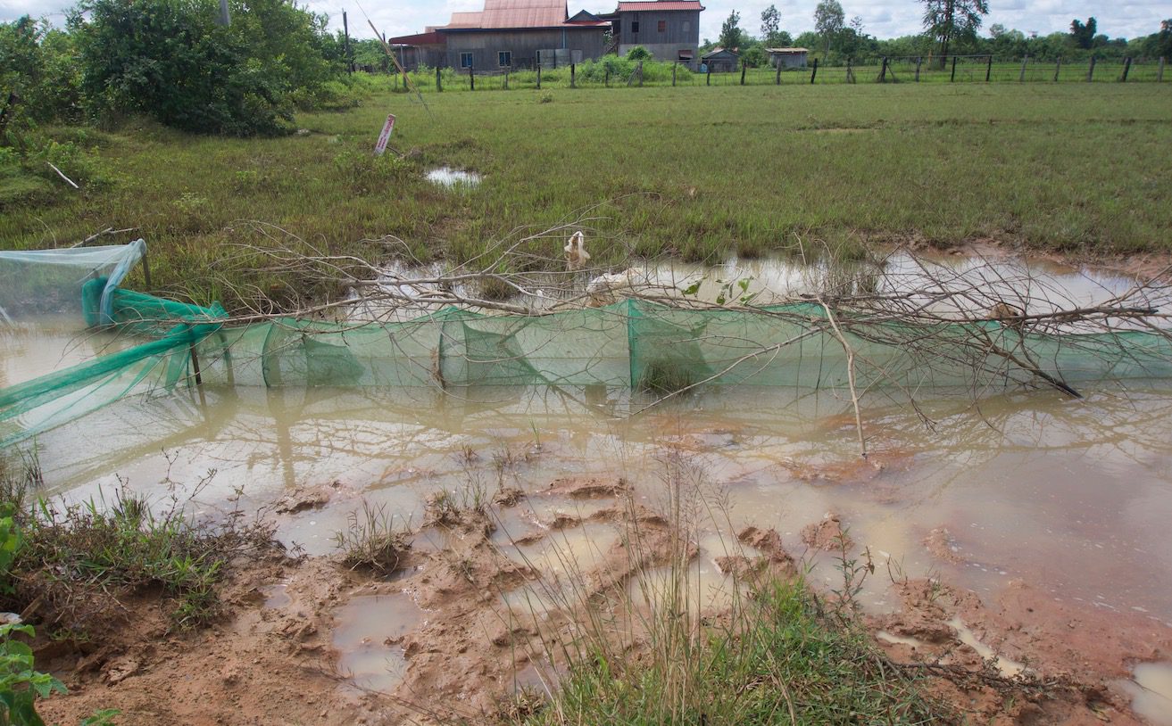Cambodian fyke trap
