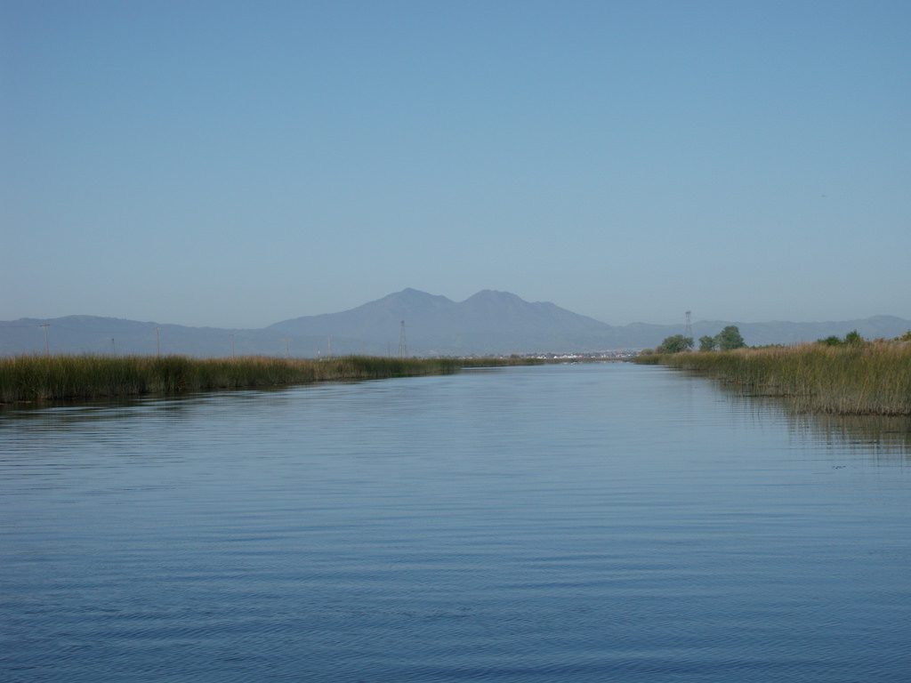 The Sacramento San Joaquin River Delta