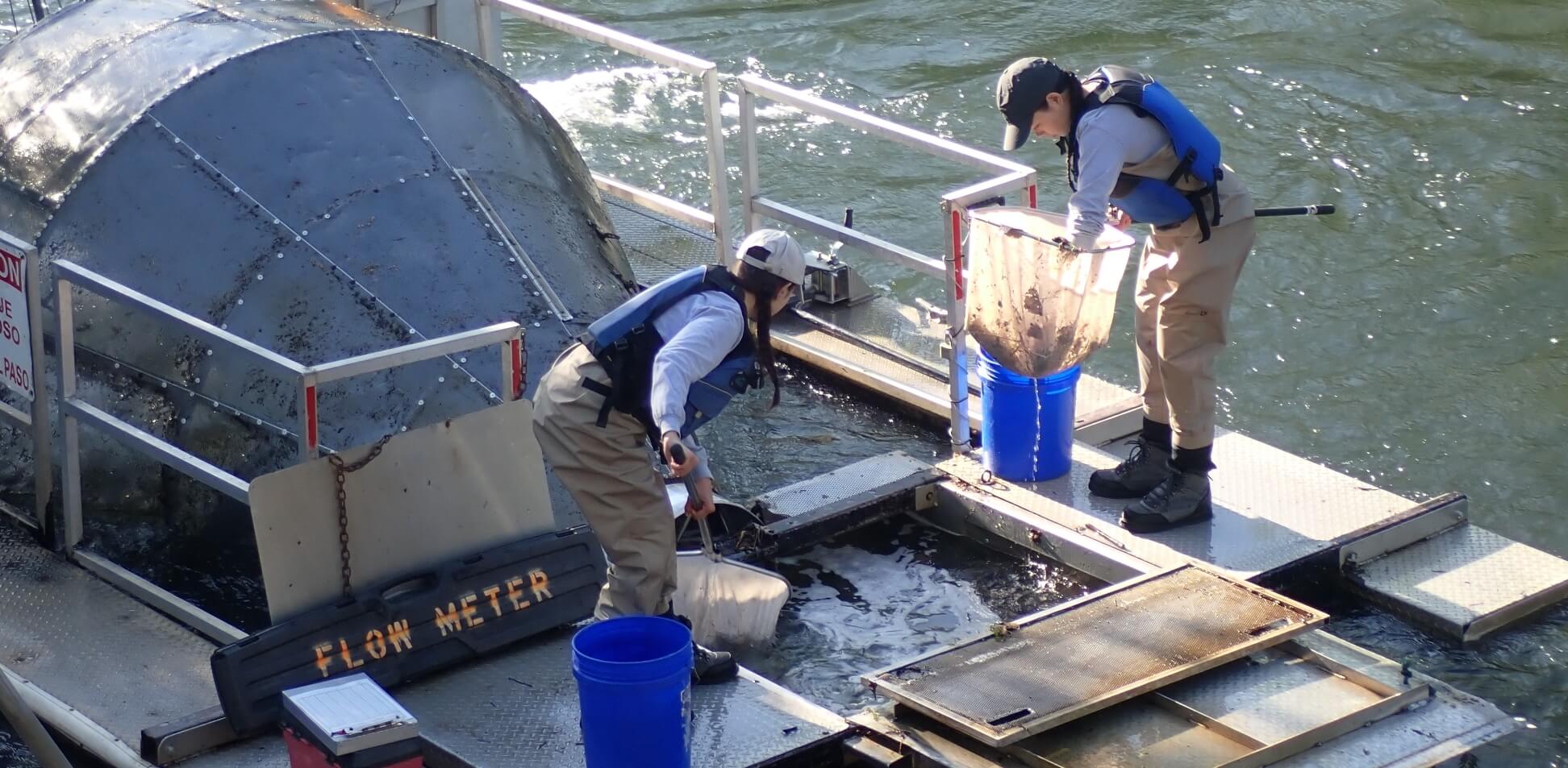 Jobs Board FISHBIO Fisheries Consultants