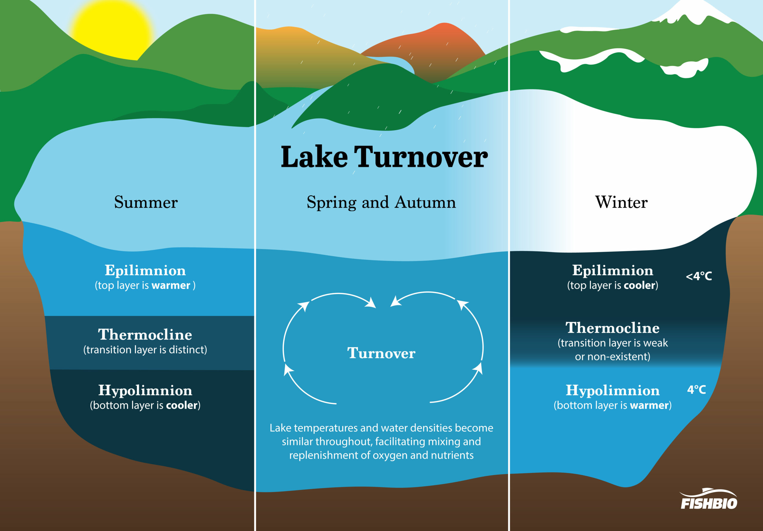 lake turnover wiki