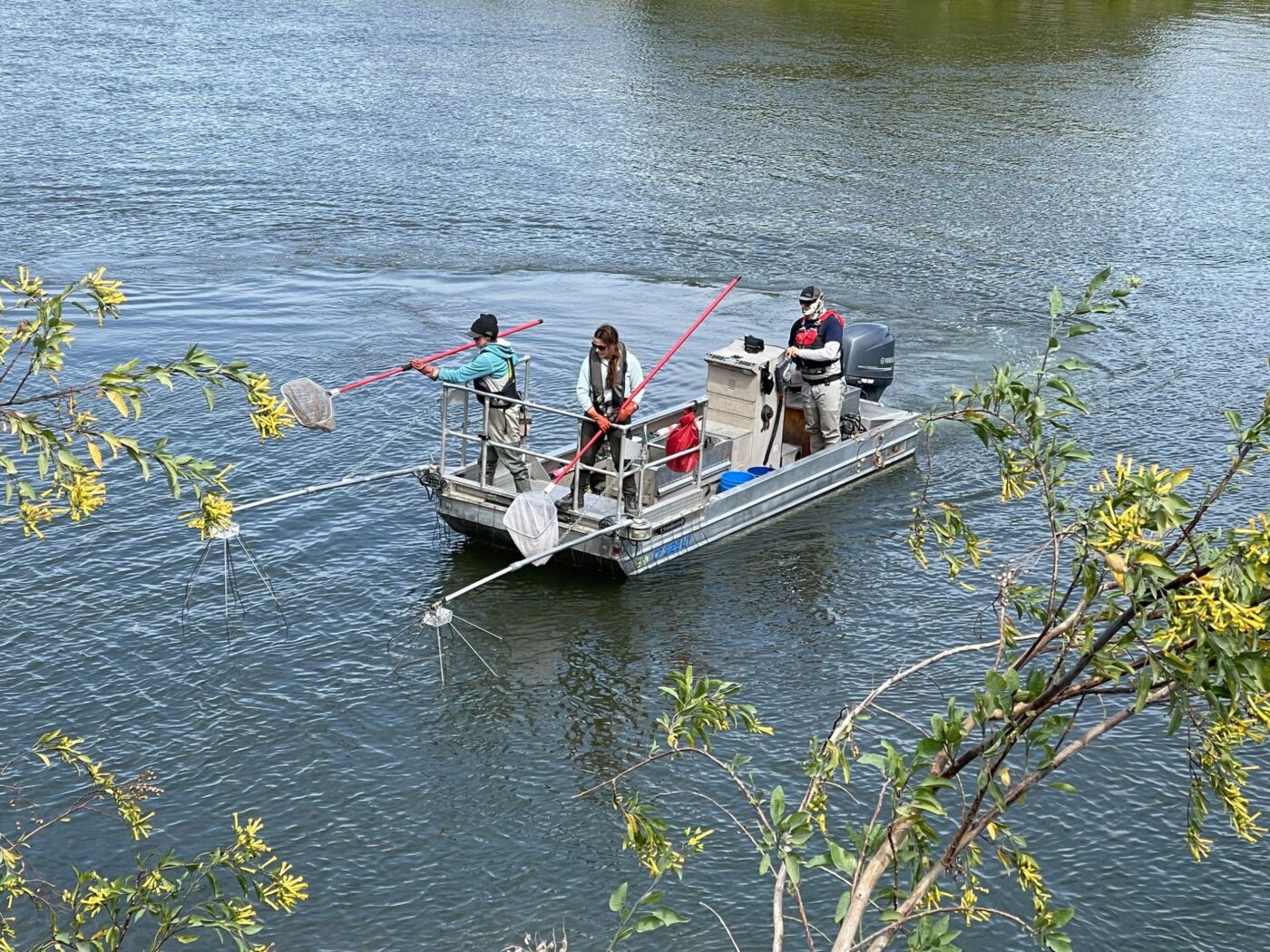 Three people are on an electrofishing boat.