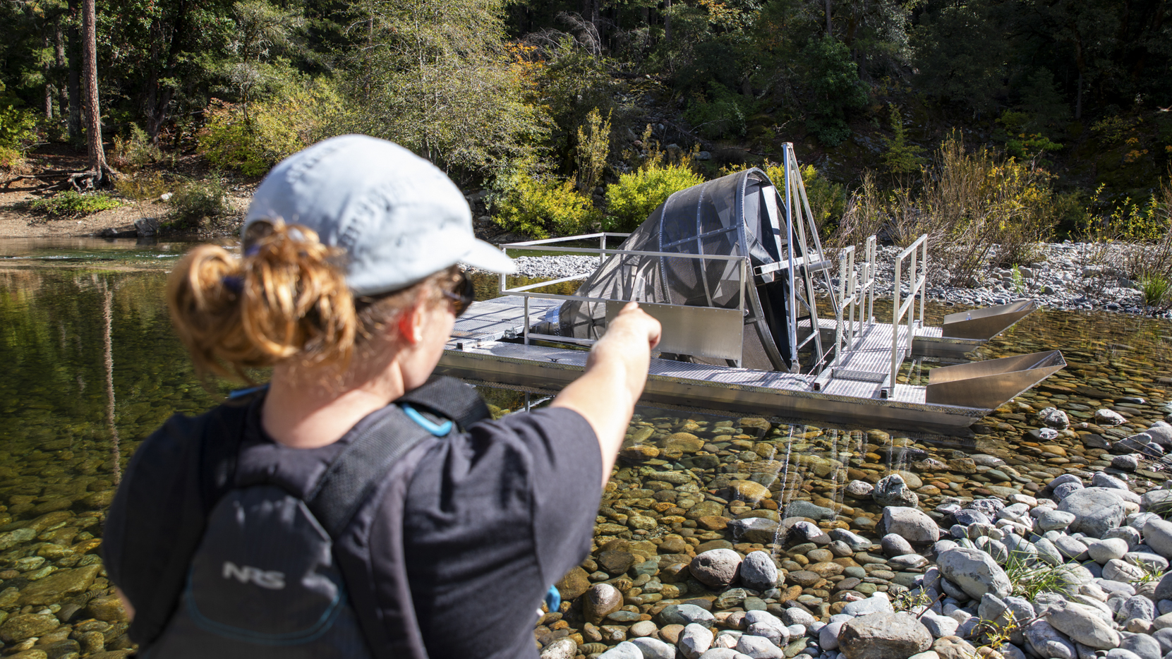 A fish technician pointing at a rotary screw trap.