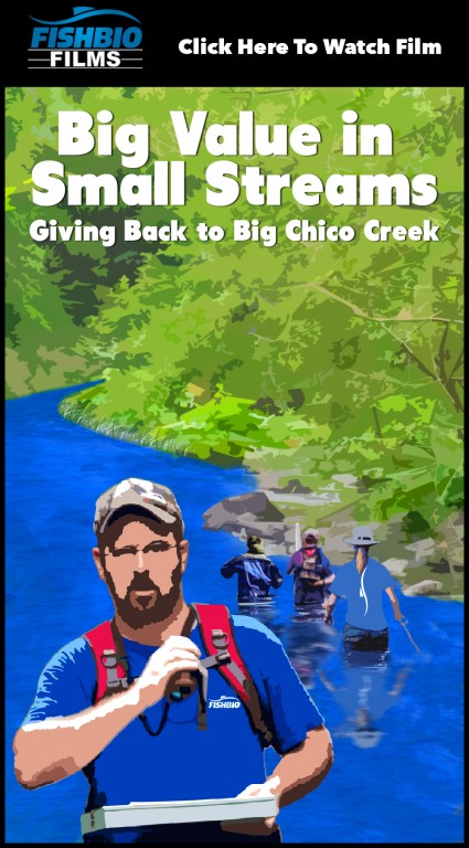 Big Chico Creek