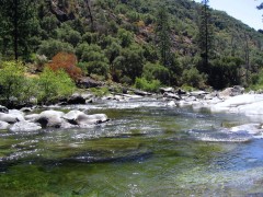 Fish habitat on the Tuolumne River