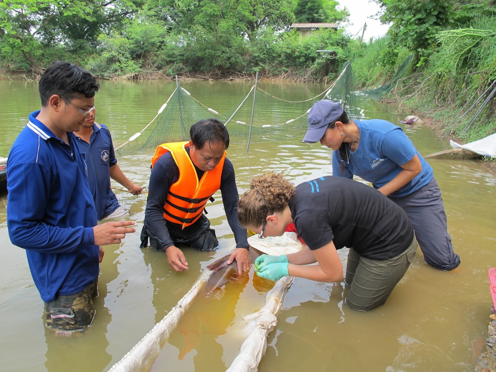 our-top-stories-of-2013-fishbio-fisheries-research-monitoring-and