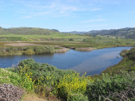 Scott creek estuary