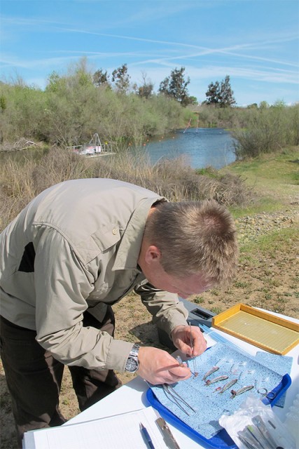 A fish health checkup by the US Fish and Wildlife Service